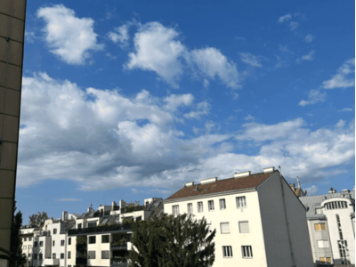 Wohnung provisionsfrei mieten in 1190 Wien