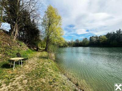 Gewerbeobjekt kaufen in 3382 Neubach (Bild 4)