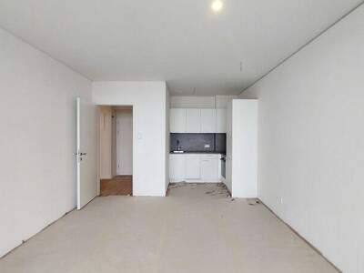 Terrassenwohnung mieten in 1220 Wien (Bild 1)