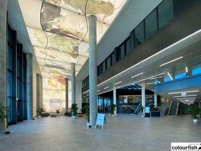 Gewerbeobjekt mieten in 1210 Wien (Bild 5)