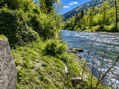 Wohnung kaufen in 2651 Reichenau