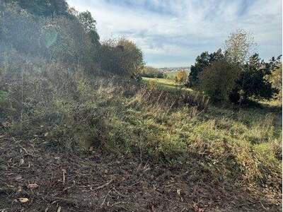 Grundstück kaufen in 3433 Königstetten (Bild 2)