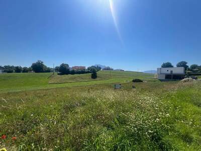 Anlageobjekt kaufen in 4694 Ohlsdorf