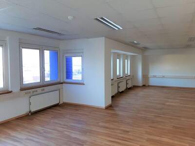 Gewerbeobjekt mieten in 2351 Wiener Neudorf (Bild 5)