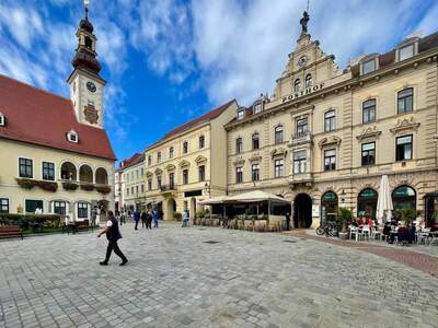 Gewerbeobjekt mieten in 2340 Mödling