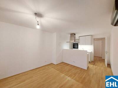 Terrassenwohnung mieten in 1160 Wien (Bild 1)
