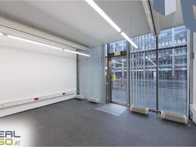 Gewerbeobjekt mieten in 4040 Linz (Bild 4)