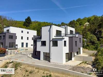 Haus kaufen in 3400 Klosterneuburg