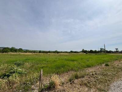 Grundstück kaufen in 7083 Purbach