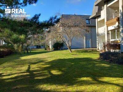 Terrassenwohnung mieten in 2380 Perchtoldsdorf (Bild 3)