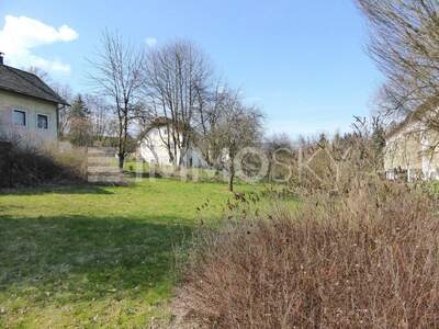 Grundstück kaufen in 4653 Eberstalzell (Bild 4)