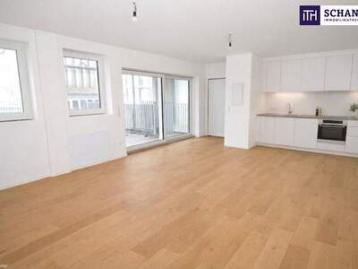 Terrassenwohnung kaufen in 1100 Wien (Bild 3)