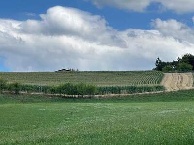 Gewerbeobjekt kaufen in 8401 Kalsdorf