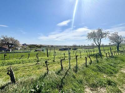 Grundstück kaufen in 7093 Jois