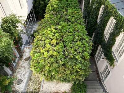 Haus mit Garten kaufen in 1060 Wien (Bild 1)