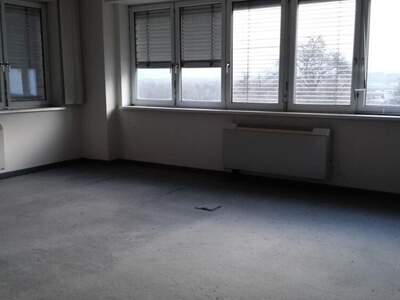 Gewerbeobjekt mieten in 3361 Aschbach (Bild 5)