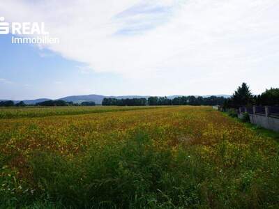 Grundstück kaufen in 3430 Frauenhofen (Bild 1)