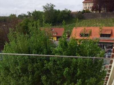 Wohnung mieten in 8510 Stainz (Bild 3)