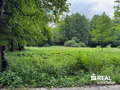 Grundstück kaufen in 4575 Roßleithen (Bild 2)