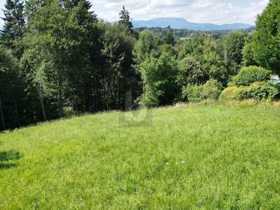 Grundstück kaufen in 8075 Hart