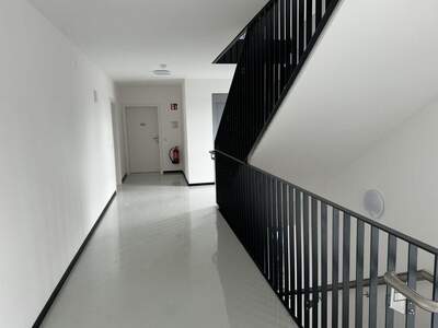 Anlageobjekt kaufen in 8261 Untergroßau (Bild 4)