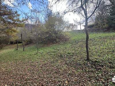 Grundstück kaufen in 9074 Keutschach (Bild 5)