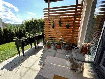 Terrassenwohnung mieten in 3353 Seitenstetten (Bild 1)