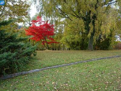 Mietwohnung in 4783 Wernstein (Bild 5)