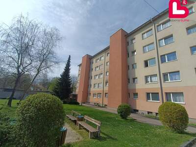 Mietwohnung in 4053 Haid (Bild 1)