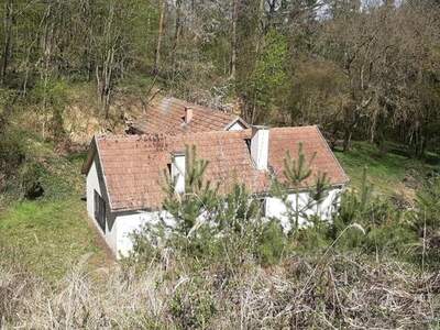 Haus kaufen in 3571 Gars