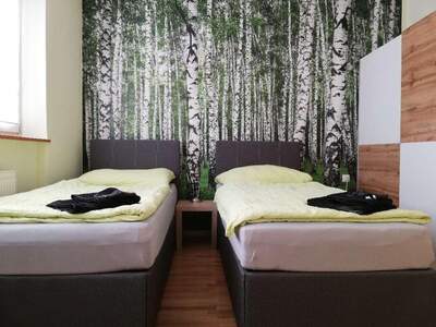 Einfamilienhaus kaufen in 3611 Großheinrichschlag (Bild 4)