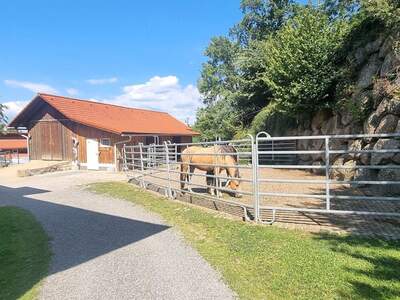 Gewerbeobjekt kaufen in 4363 Pabneukirchen (Bild 5)