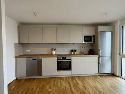 Terrassenwohnung kaufen in 1230 Wien (Bild 4)