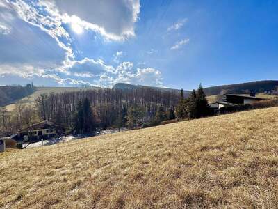 Grundstück kaufen in 3400 Maria Gugging