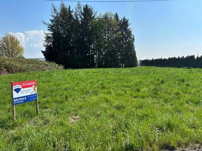 Grundstück kaufen in 4975 Suben