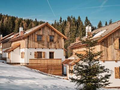 Haus kaufen in 5573 Weißpriach