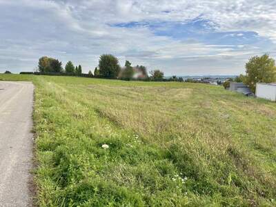 Grundstück kaufen in 4060 Leonding