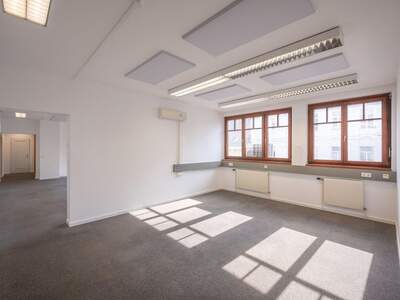 Gewerbeobjekt mieten in 1090 Wien (Bild 5)