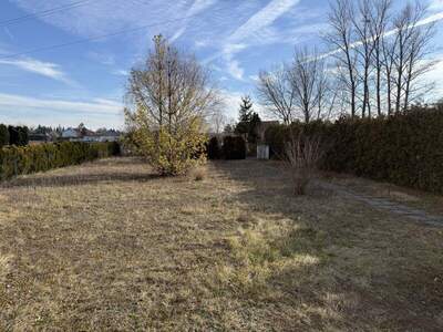 Grundstück kaufen in 7201 Neudörfl (Bild 5)