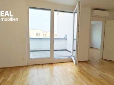 Terrassenwohnung mieten in 1220 Wien (Bild 3)