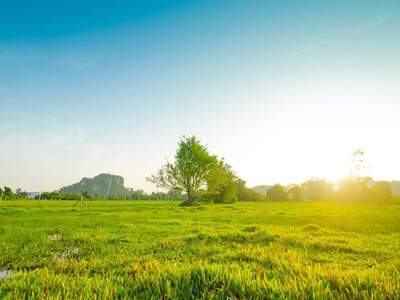 Grundstück kaufen in 6923 Lauterach