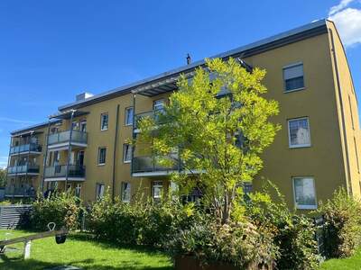 Wohnung mieten in 4050 Traun