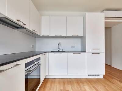 Terrassenwohnung mieten in 1070 Wien (Bild 4)