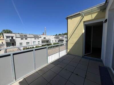 Terrassenwohnung mieten in 2104 Spillern (Bild 5)