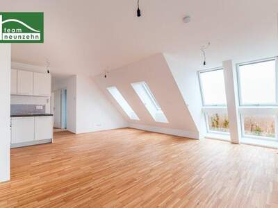 Terrassenwohnung mieten in 1220 Wien (Bild 3)