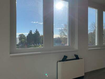 Büro / Praxis mieten in 2353 Guntramsdorf (Bild 3)