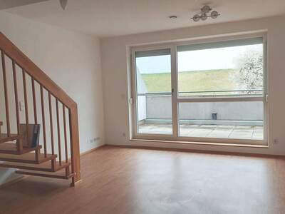 Wohnung mieten in 3382 Loosdorf