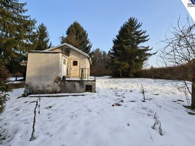 Gewerbeobjekt kaufen in 4060 Leonding (Bild 1)