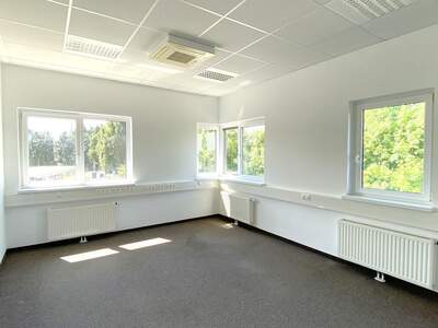 Gewerbeobjekt mieten in 5020 Salzburg (Bild 1)