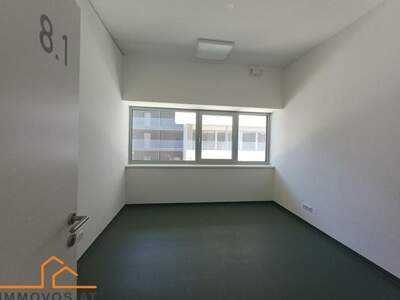 Gewerbeobjekt mieten in 1220 Wien 22. (Bild 2)